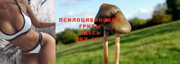 синтетический гашиш Верхний Тагил