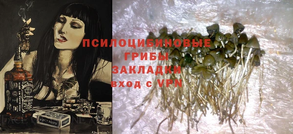 гашик Верхнеуральск