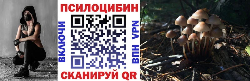 купить наркоту  Снежинск  Псилоцибиновые грибы Cubensis 